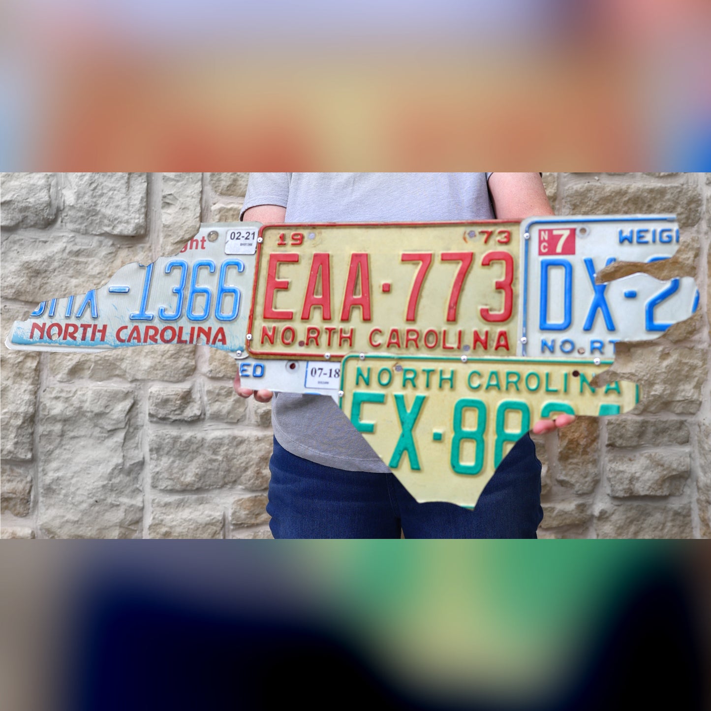 License Plate State Art