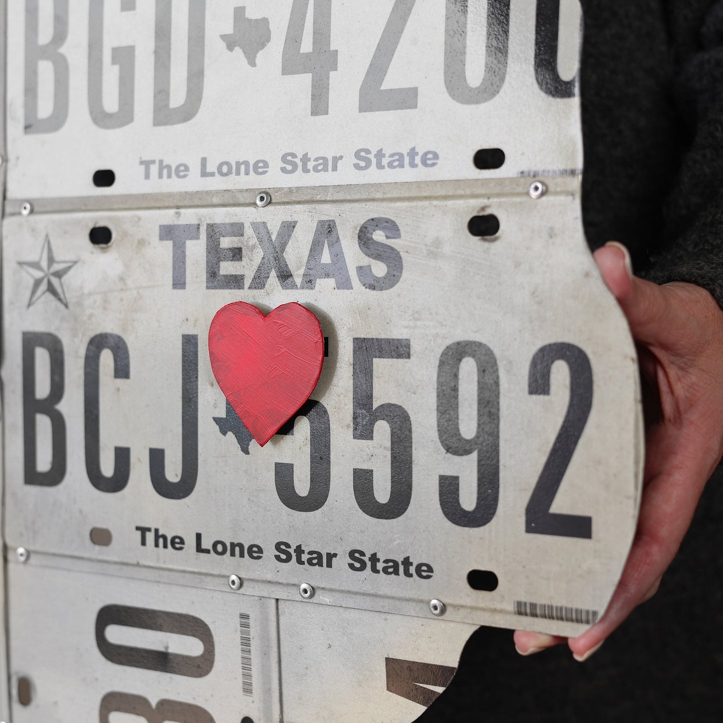 License Plate State Art