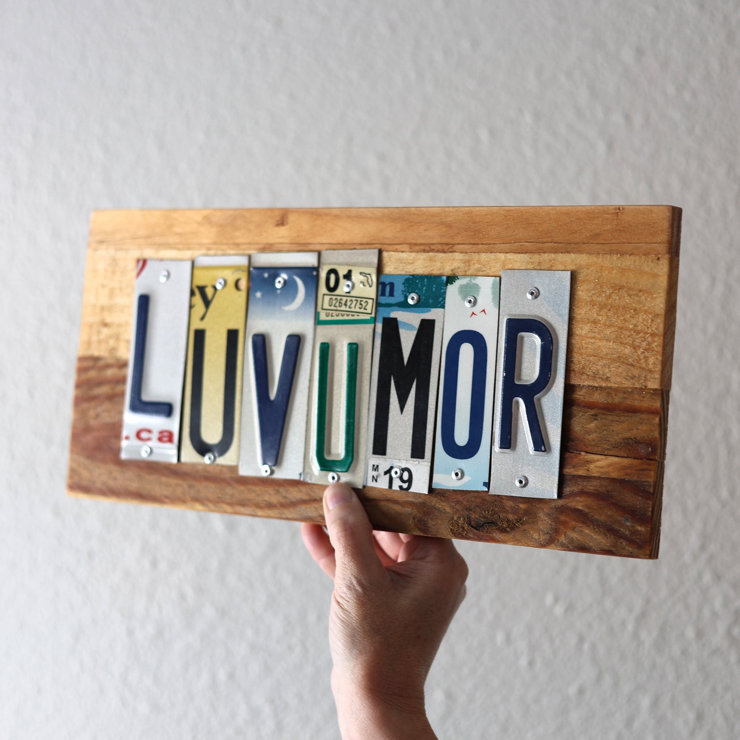 License Plate Signs