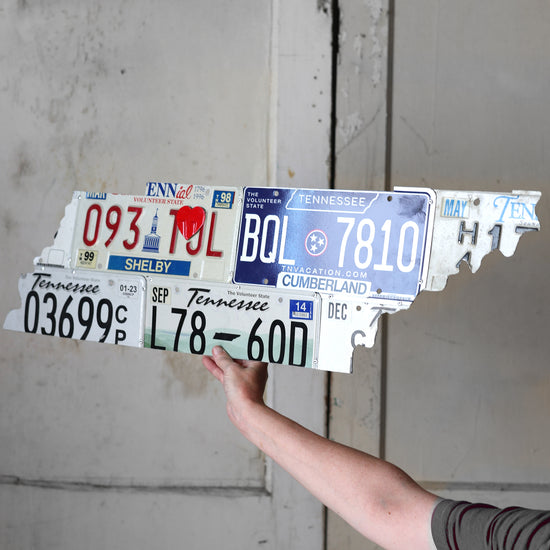 License Plate State Art