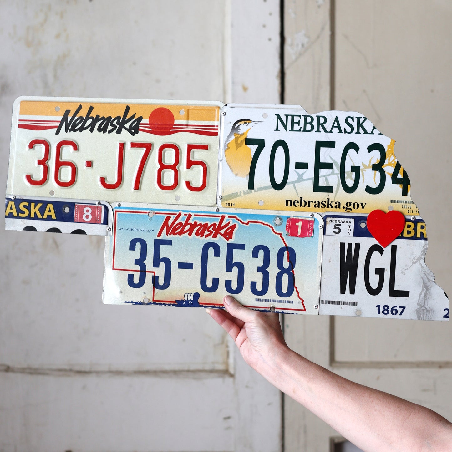 License Plate State Art