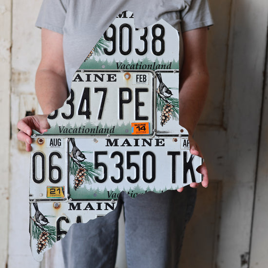 License Plate State Art