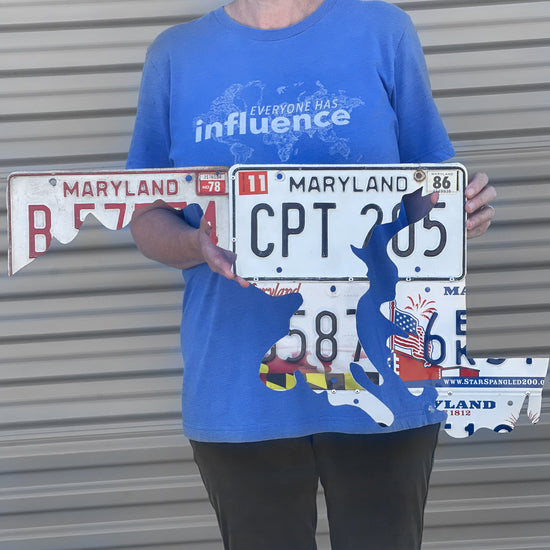 License Plate State Art